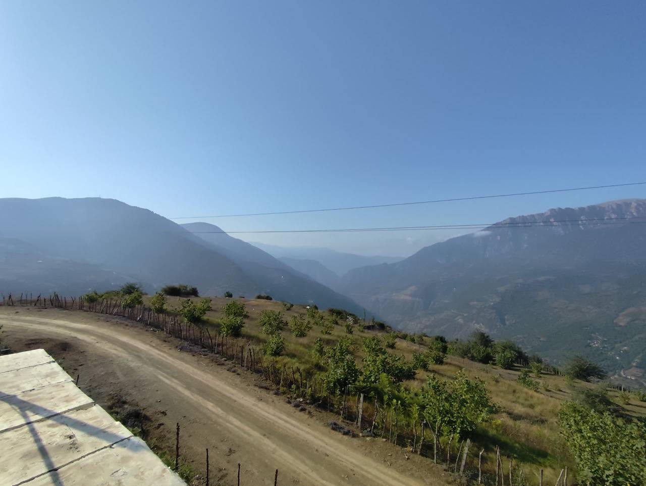 بازدید شویل