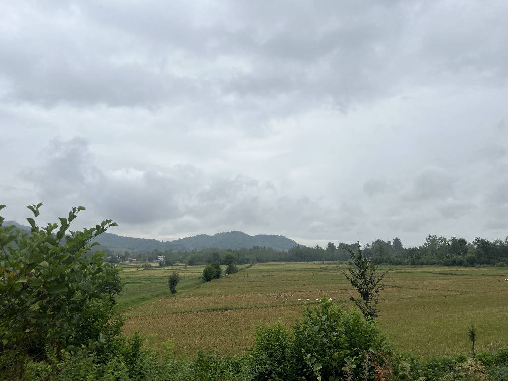 بازدید آب‌بندان