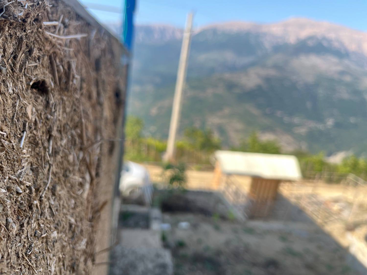 بازدید شویل