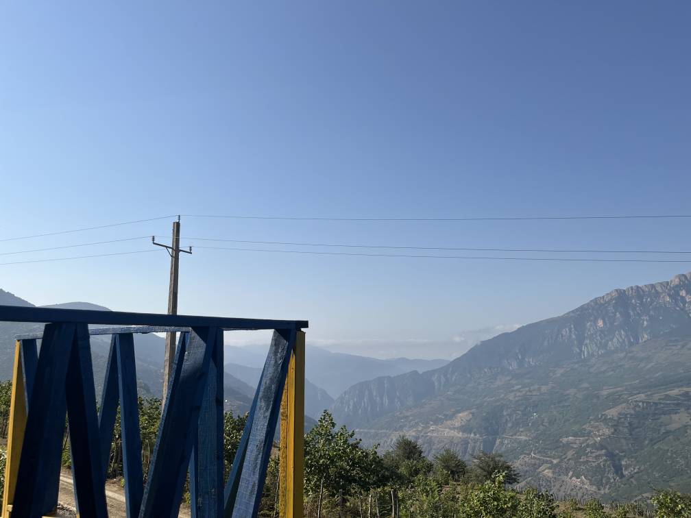 بازدید شویل