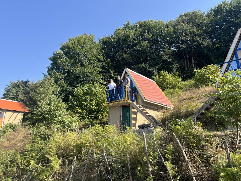 بازدید شویل