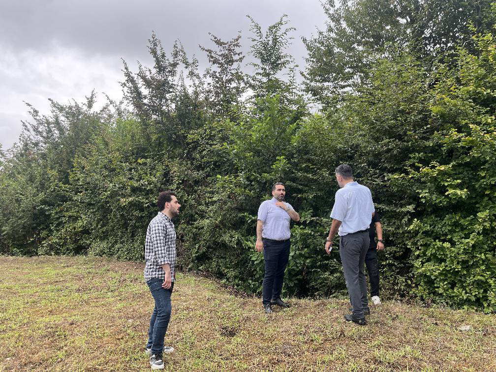 هتل بوتیک طبیعت