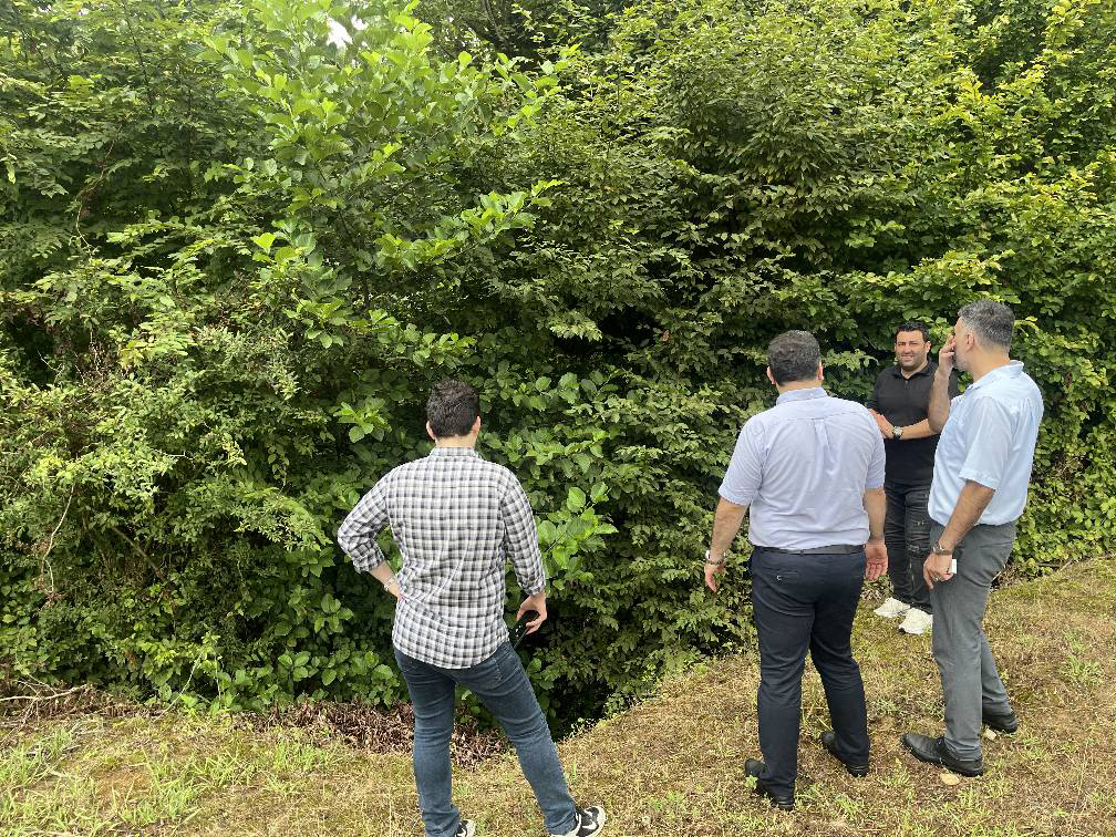 هتل بوتیک طبیعت