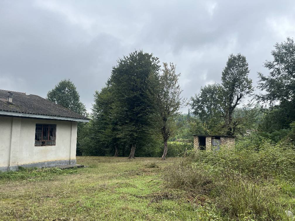 هتل بوتیک طبیعت